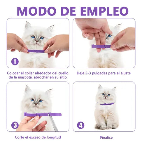 CATRELAX™ ELIMINA EL MAL COMPORTAMIENTO DE TUS GATOS EN DIAS + EBOOK DE REGALO🎁 + ENVIO GRATIS