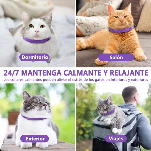 CATRELAX™ ELIMINA EL MAL COMPORTAMIENTO DE TUS GATOS EN DIAS + EBOOK DE REGALO🎁 + ENVIO GRATIS