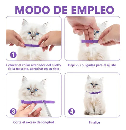 CATRELAX™ ELIMINA EL MAL COMPORTAMIENTO DE TUS GATOS EN DIAS + EBOOK DE REGALO🎁 + ENVIO GRATIS