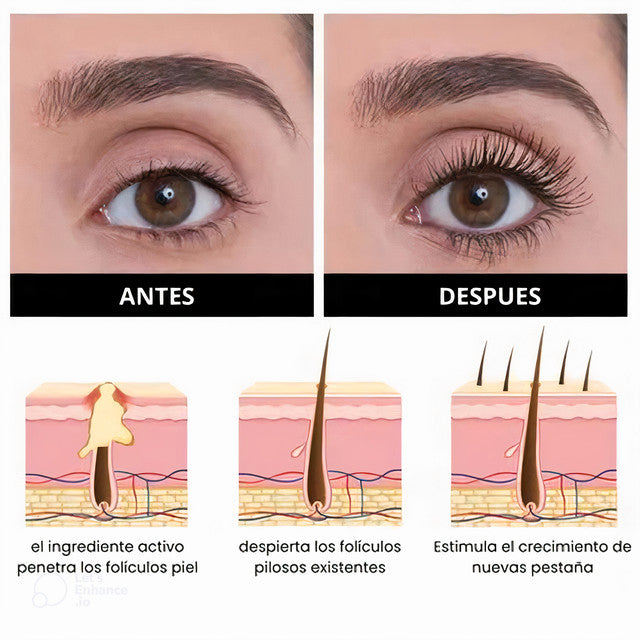 LashGlam™ Cejas y pestañas más largas, densas y perfectas como siempre soñaste