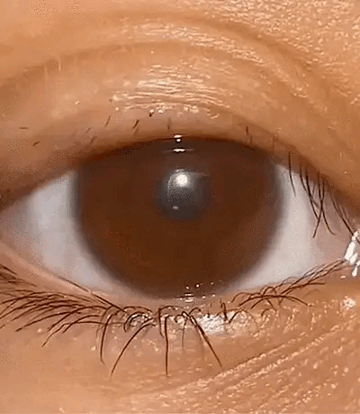 LashGlam™ Cejas y pestañas más largas, densas y perfectas como siempre soñaste